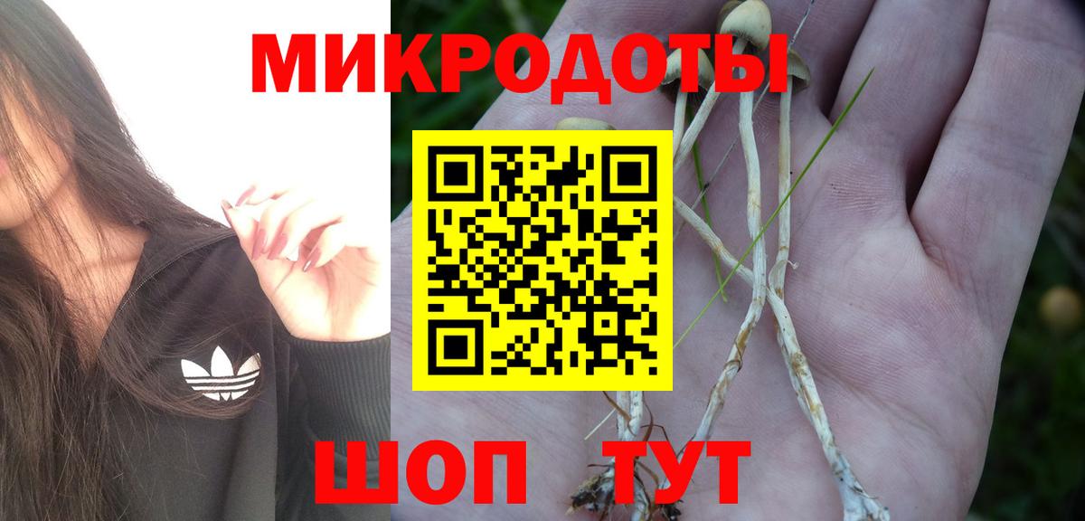Галлюциногенные грибы MAGIC MUSHROOMS Семёнов